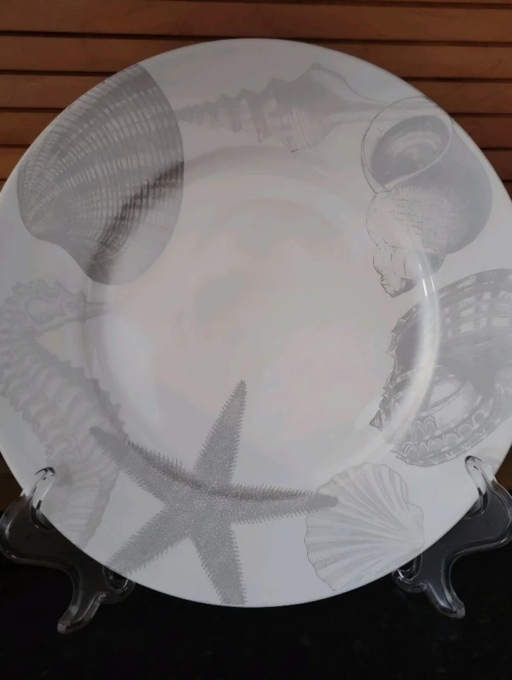 222 Fifth Coastal Life Silver Fibe Chiba 10 75